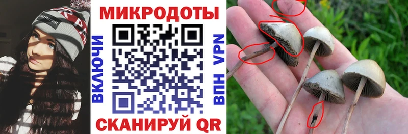 Псилоцибиновые грибы Psilocybine cubensis  где купить   Окуловка 